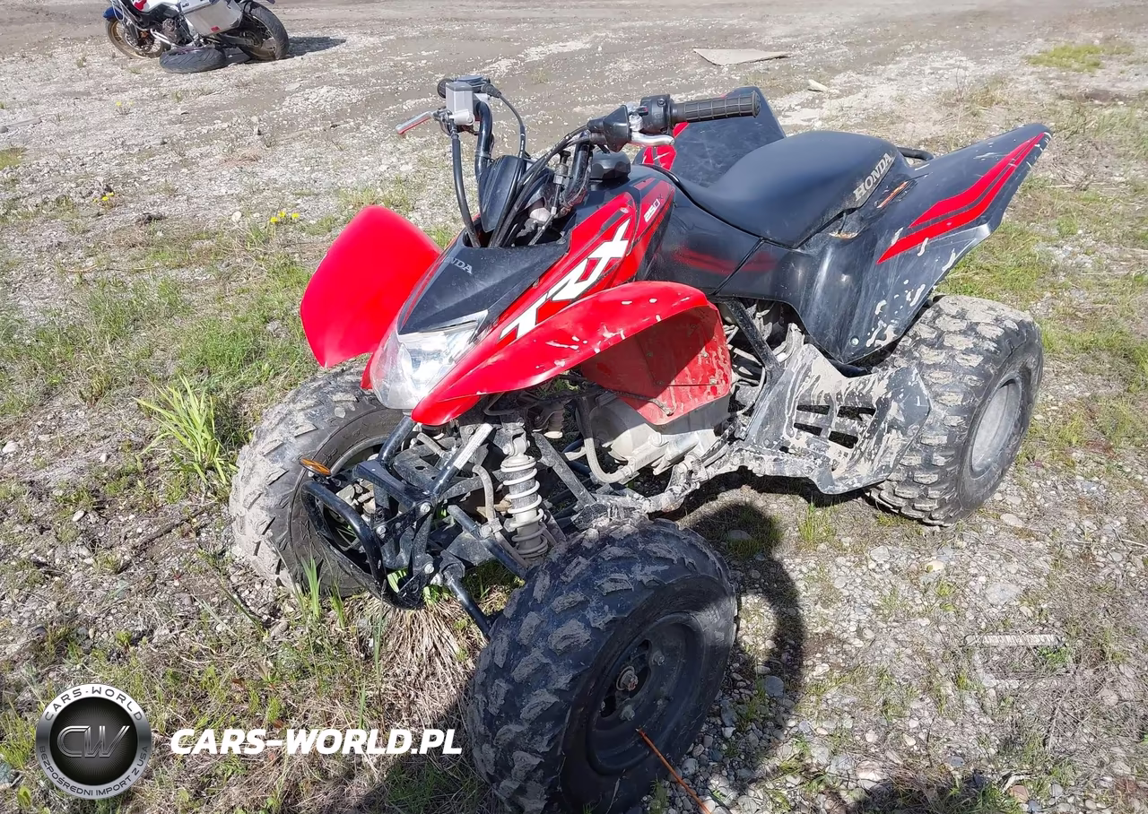 2024 Honda Trx250 X VIN:1HFTE2709RJ000821 - 2