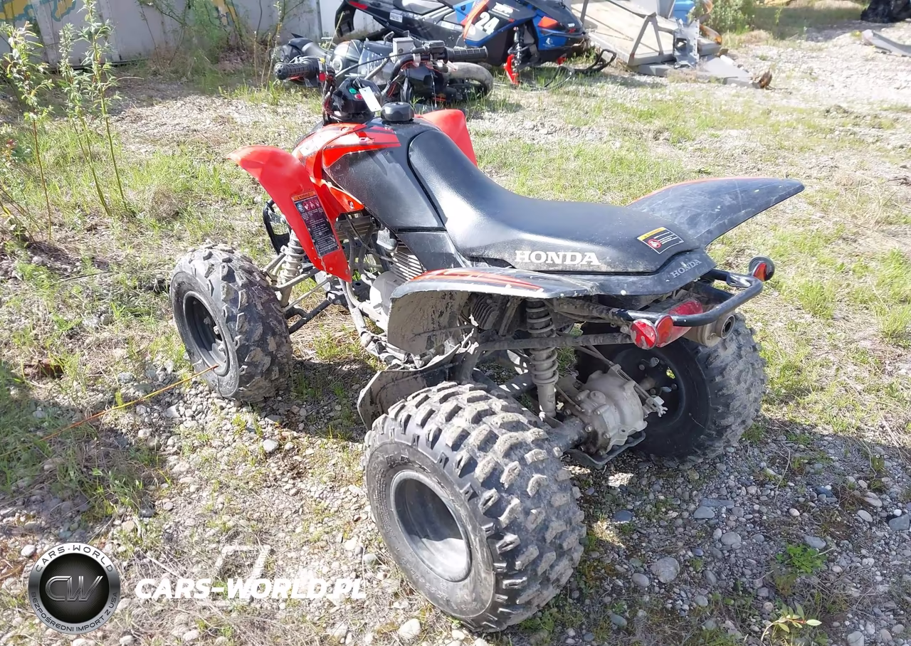 2024 Honda Trx250 X VIN:1HFTE2709RJ000821 - 3