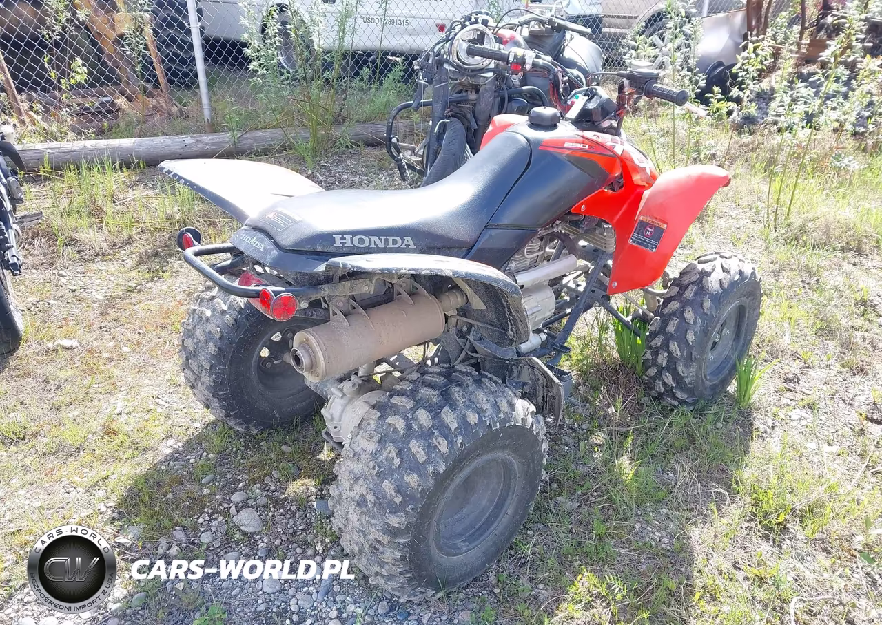 2024 Honda Trx250 X VIN:1HFTE2709RJ000821 - 4