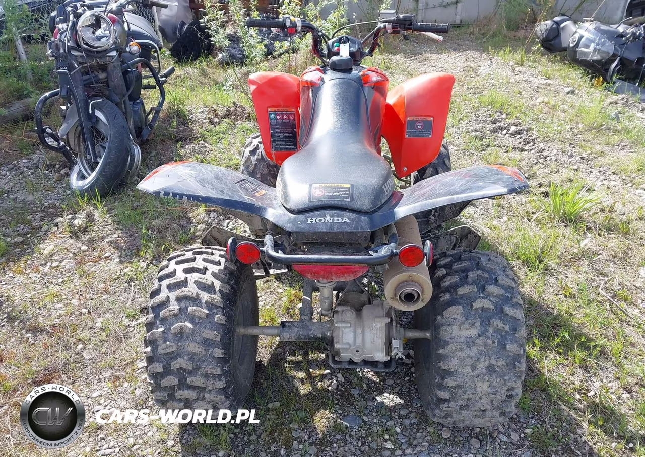 2024 Honda Trx250 X VIN:1HFTE2709RJ000821 - 6