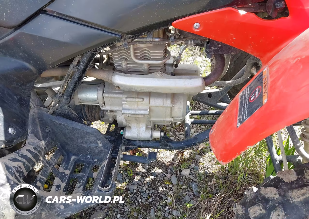2024 Honda Trx250 X VIN:1HFTE2709RJ000821 - 8
