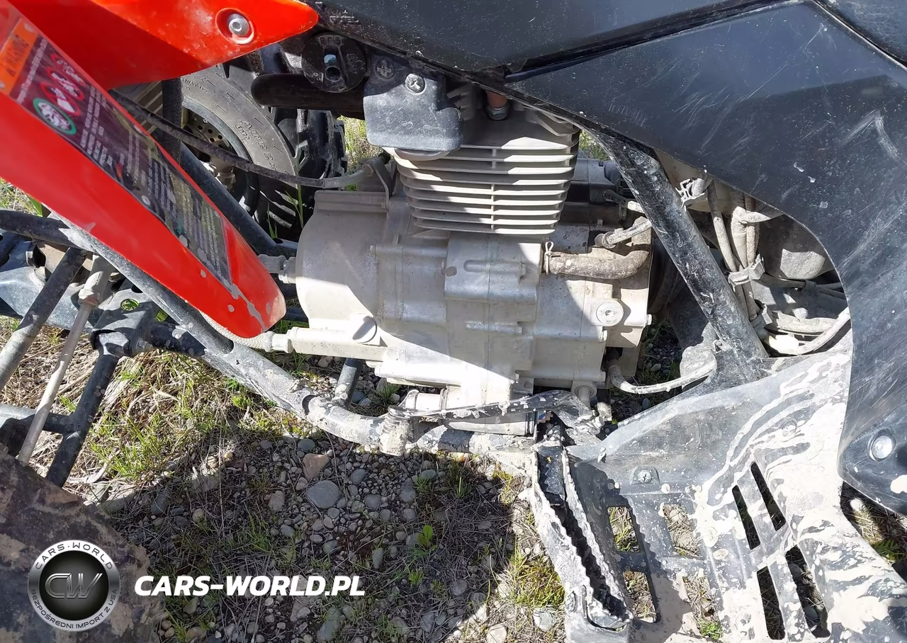 2024 Honda Trx250 X VIN:1HFTE2709RJ000821 - 9