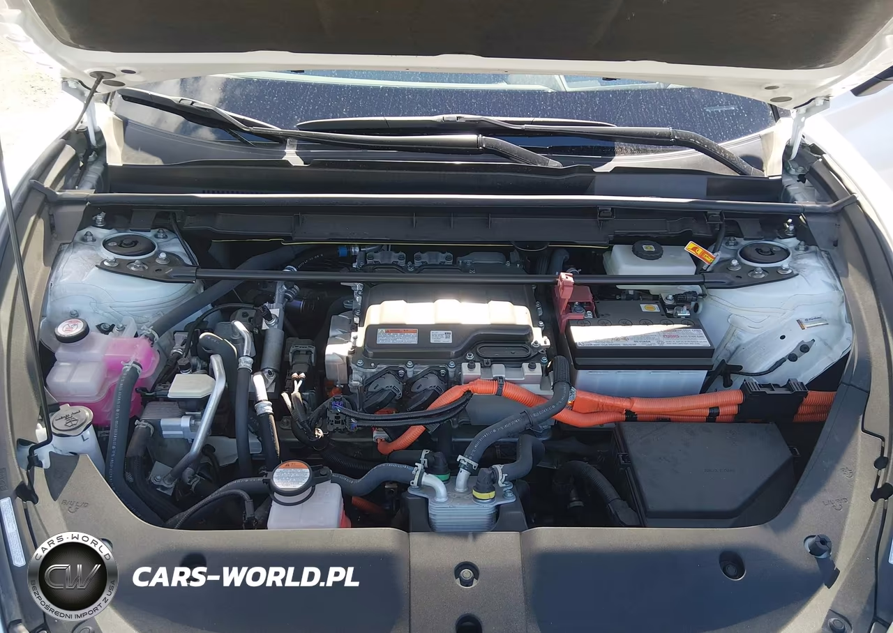 2024 Lexus Rz 300E Premium VIN:JTJABABB6RA000818 - 10