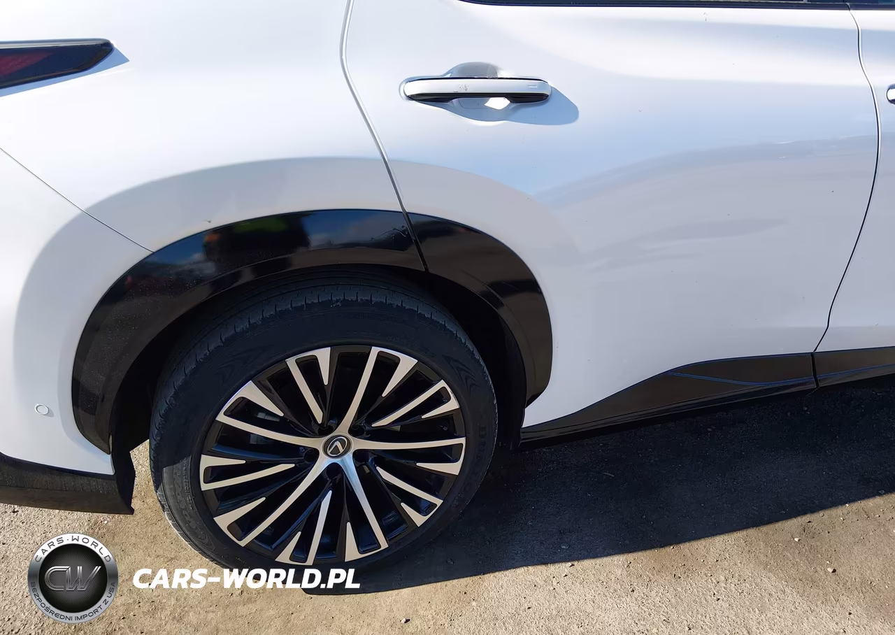 2024 Lexus Rz 300E Premium VIN:JTJABABB6RA000818 - 6