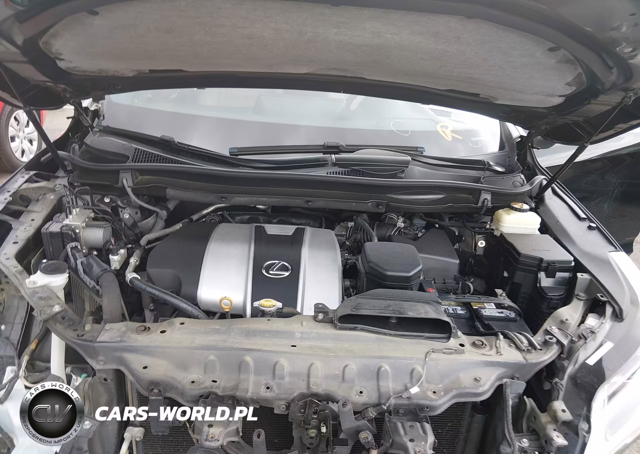 2016 Lexus Rx 350 F Sport VIN:2T2BZMCA1GC024880 - 10