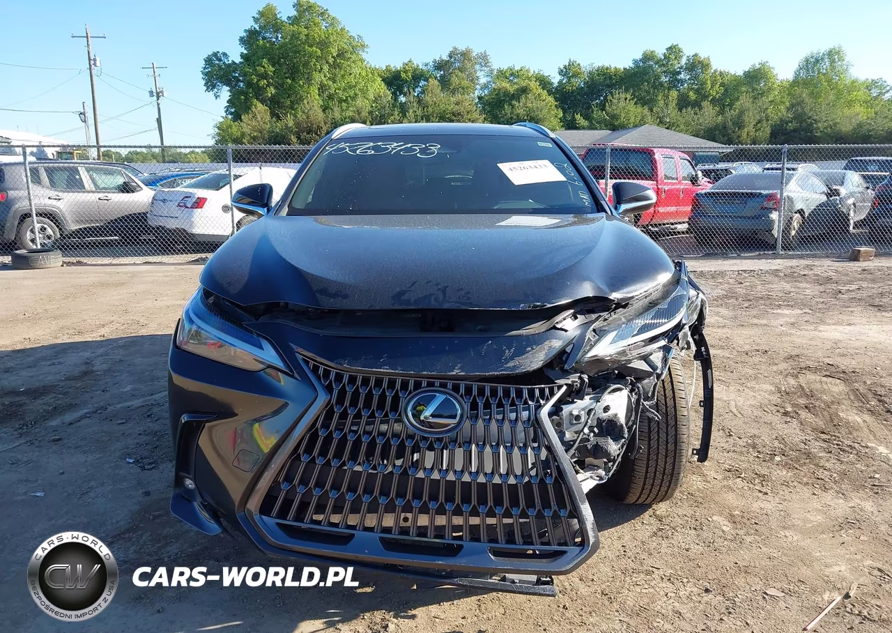 2024 Lexus Nx 350 VIN:2T2AGCEZ8RC060101 - 13