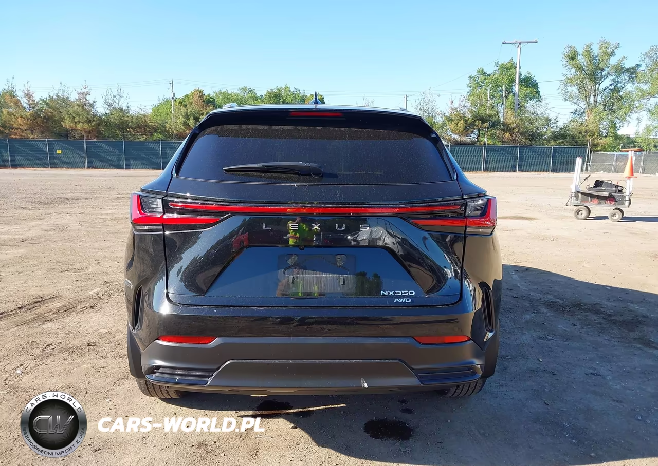 2024 Lexus Nx 350 VIN:2T2AGCEZ8RC060101 - 17
