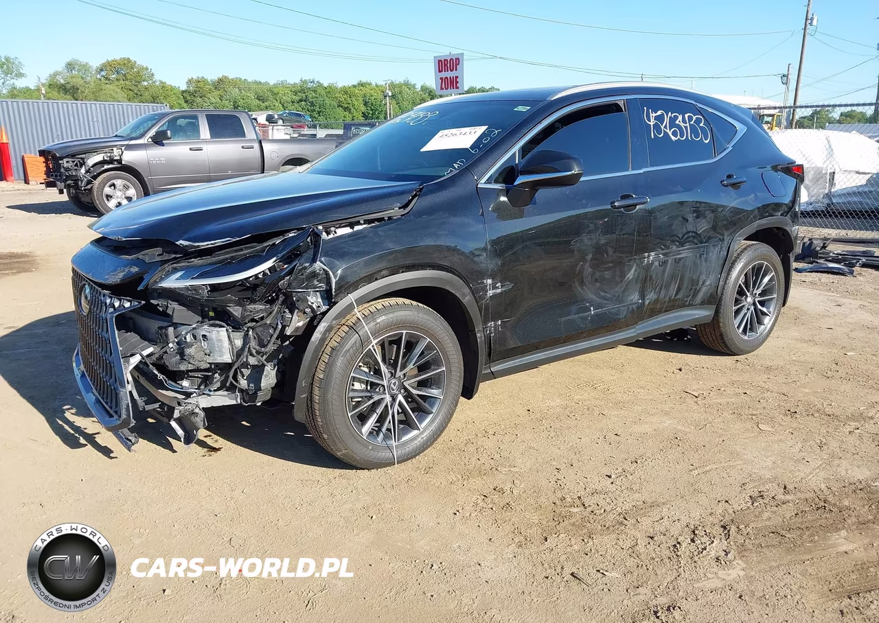 2024 Lexus Nx 350 VIN:2T2AGCEZ8RC060101 - 2
