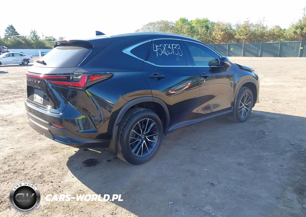 2024 Lexus Nx 350 VIN:2T2AGCEZ8RC060101 - 4