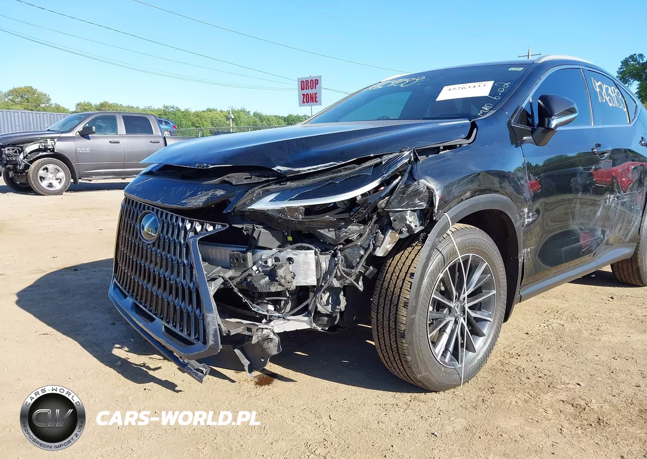 2024 Lexus Nx 350 VIN:2T2AGCEZ8RC060101 - 6