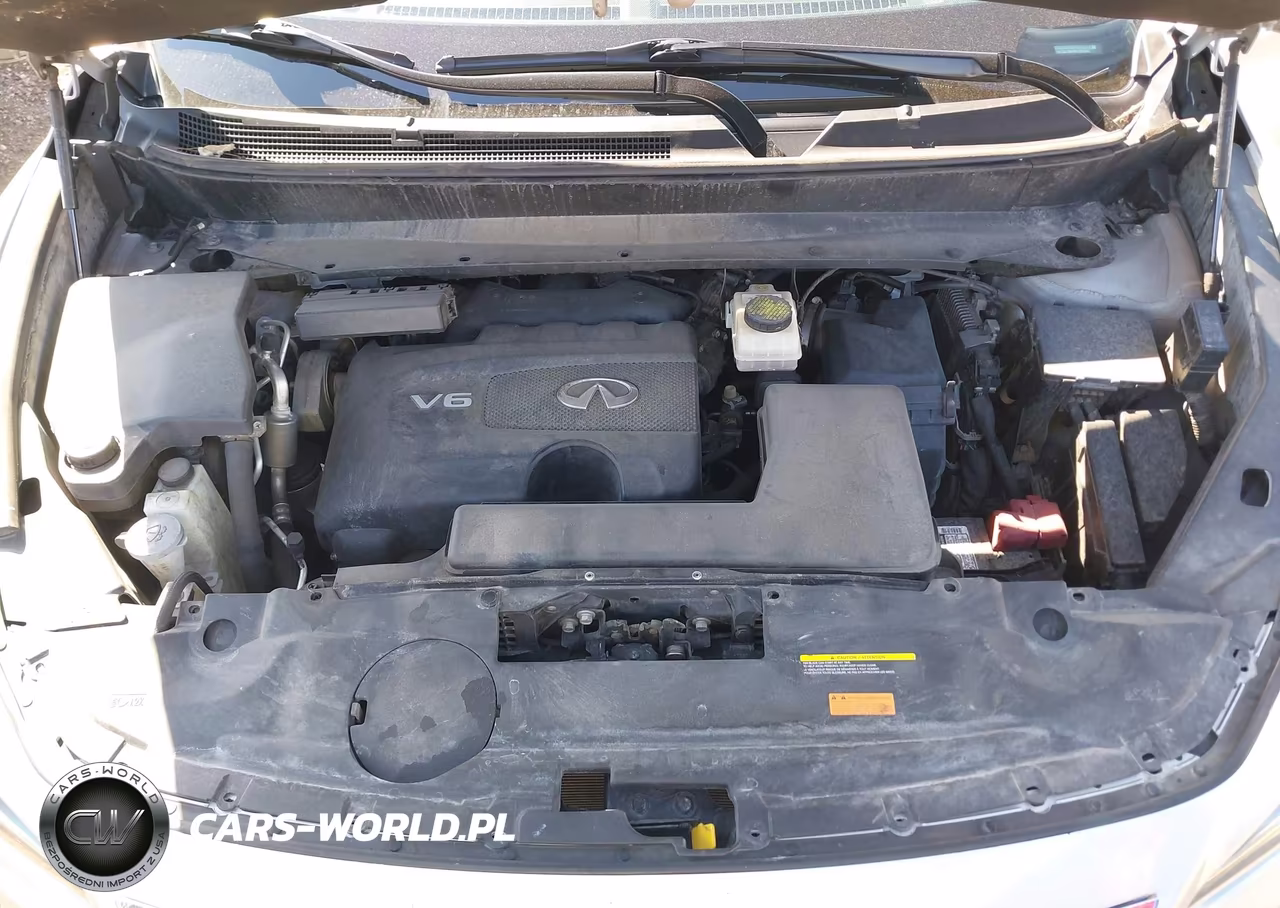 2019 Infiniti Qx60 Luxe VIN:5N1DL0MM2KC500843 - 10