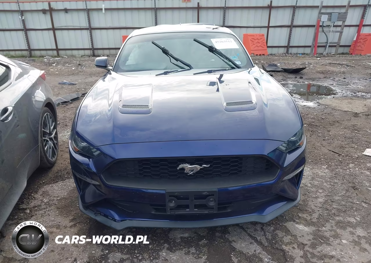 2020 Ford Mustang Ecoboost Fastback VIN:1FA6P8TH3L5158447 - 13