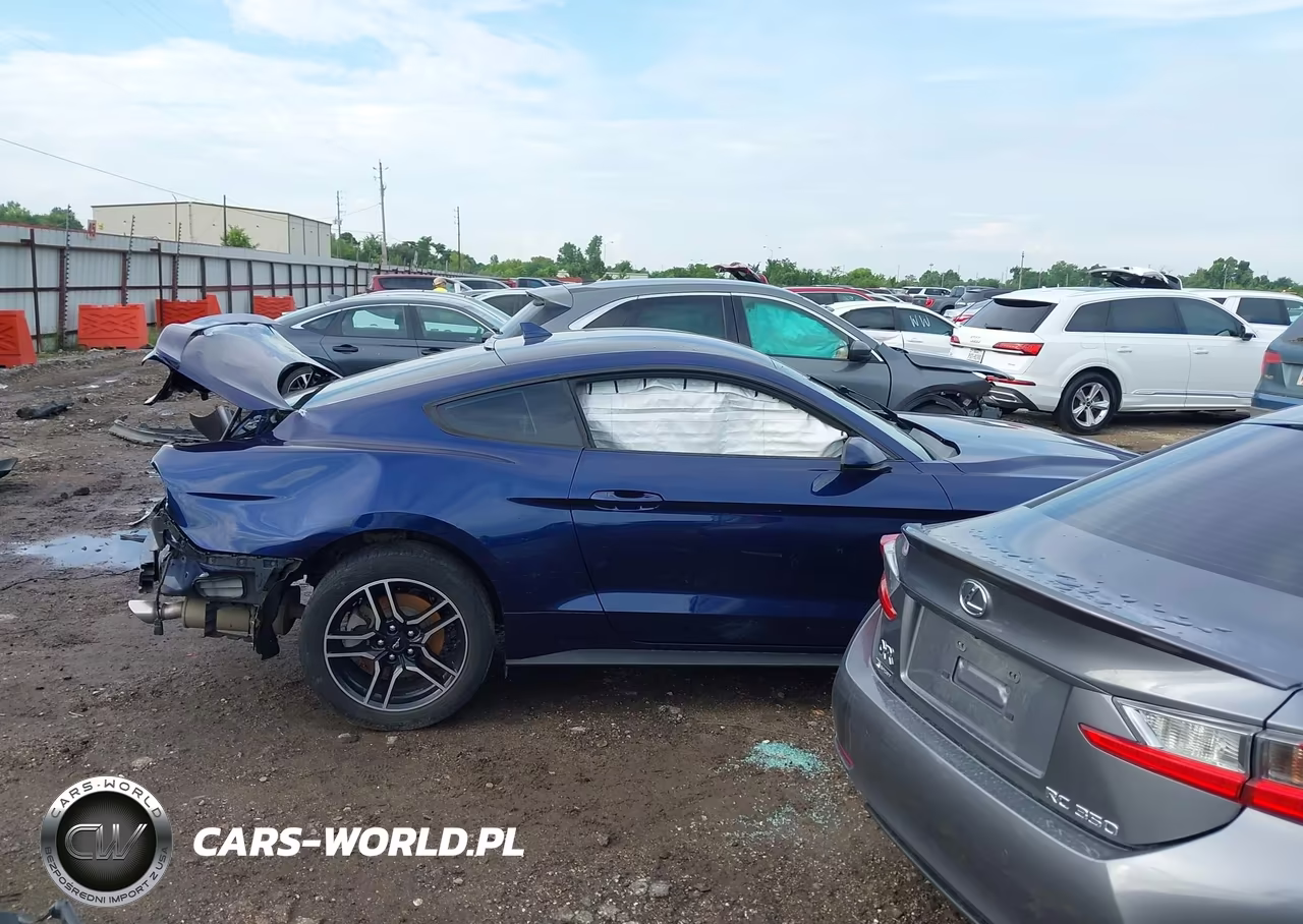 2020 Ford Mustang Ecoboost Fastback VIN:1FA6P8TH3L5158447 - 14