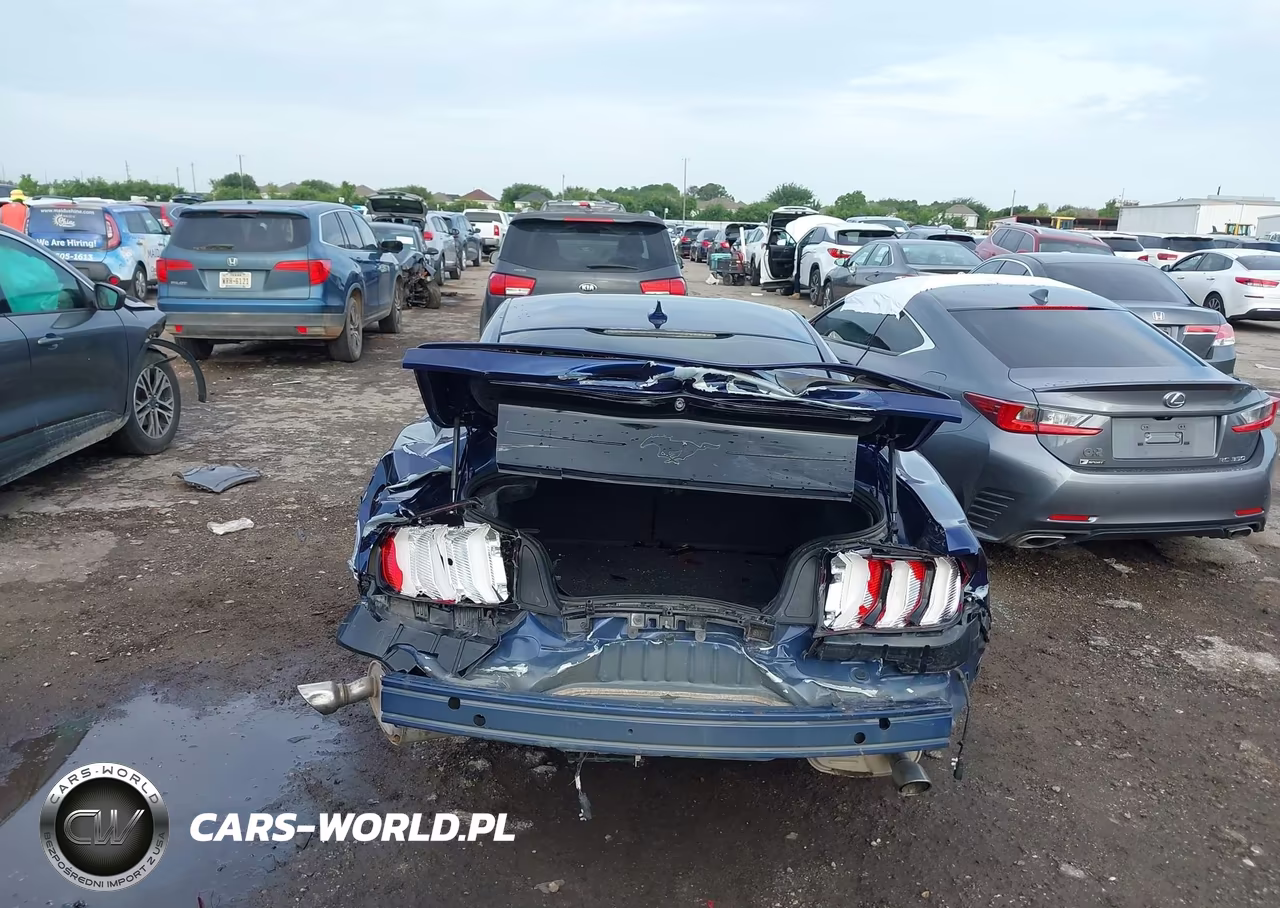 2020 Ford Mustang Ecoboost Fastback VIN:1FA6P8TH3L5158447 - 17