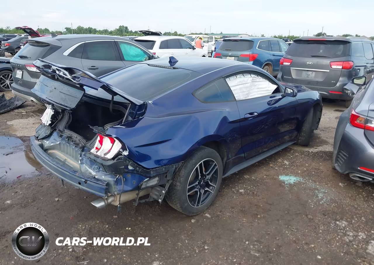 2020 Ford Mustang Ecoboost Fastback VIN:1FA6P8TH3L5158447 - 4