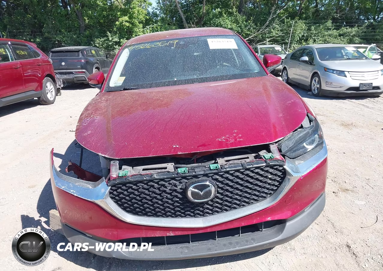 2020 Mazda Cx-30 Preferred Package VIN:3MVDMADL6LM113676 - 13