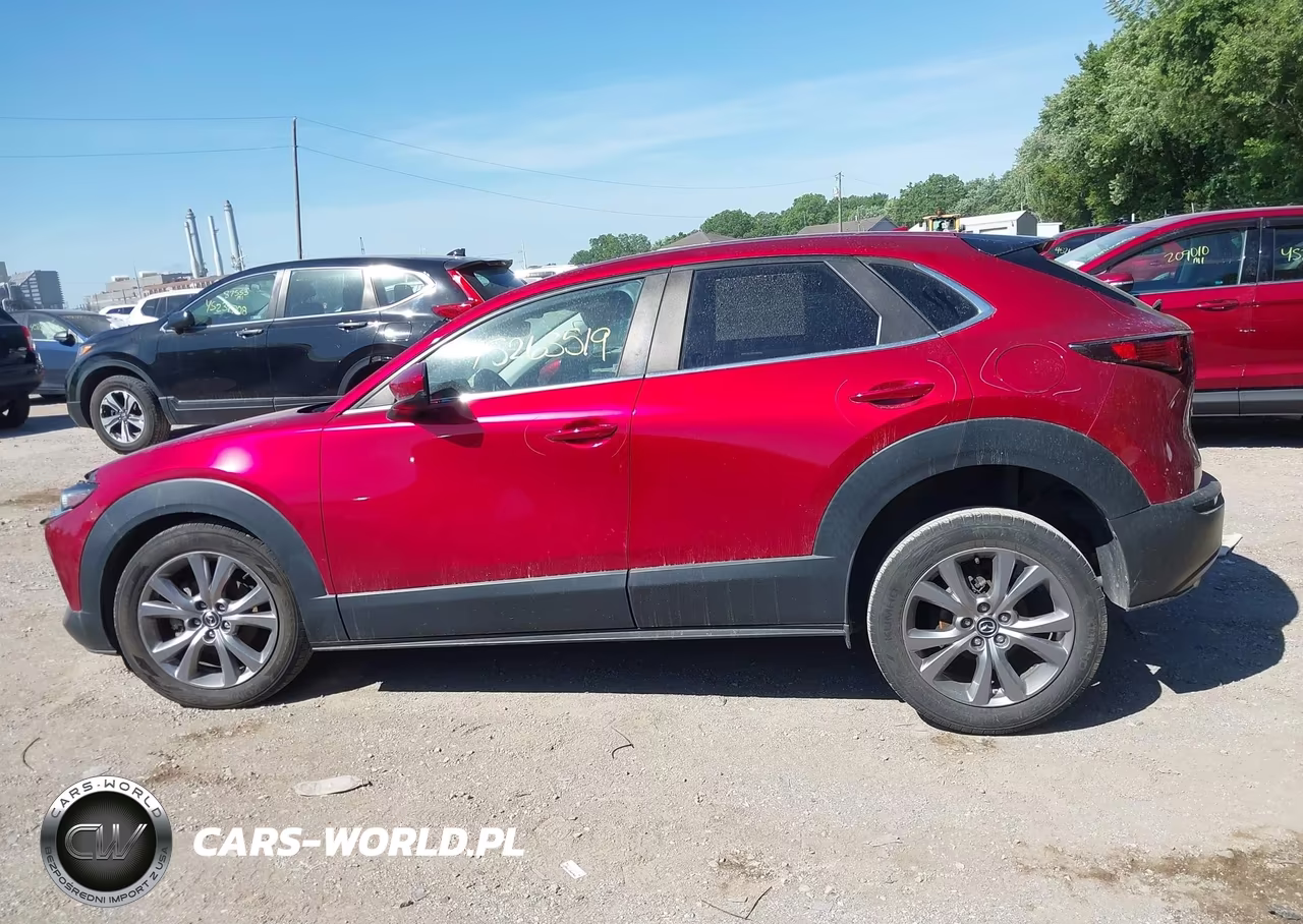 2020 Mazda Cx-30 Preferred Package VIN:3MVDMADL6LM113676 - 15