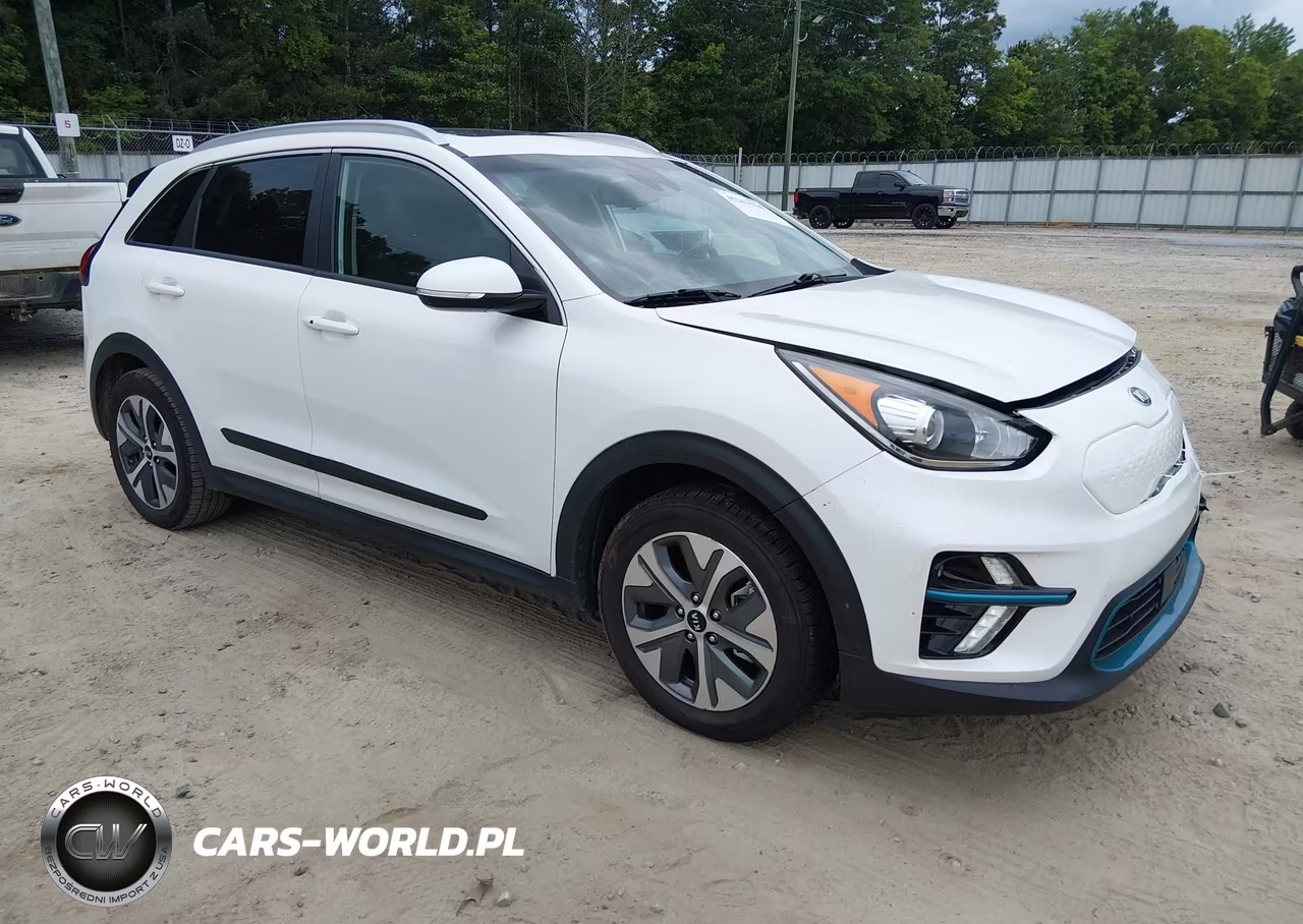 2019 Kia Niro Ev Ex Premium