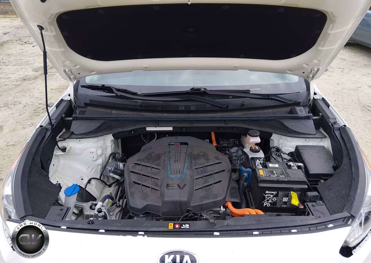 2019 Kia Niro Ev Ex Premium VIN:KNDCE3LG2K5020099 - 10