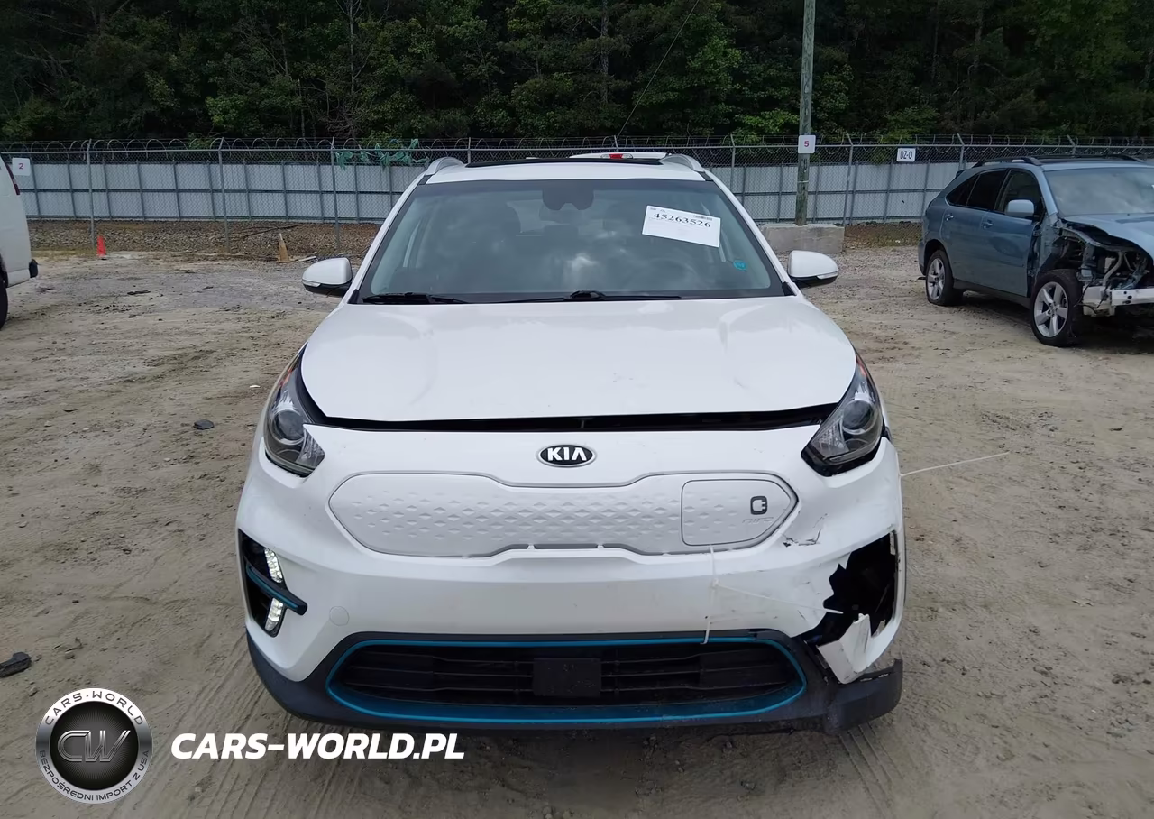 2019 Kia Niro Ev Ex Premium VIN:KNDCE3LG2K5020099 - 13
