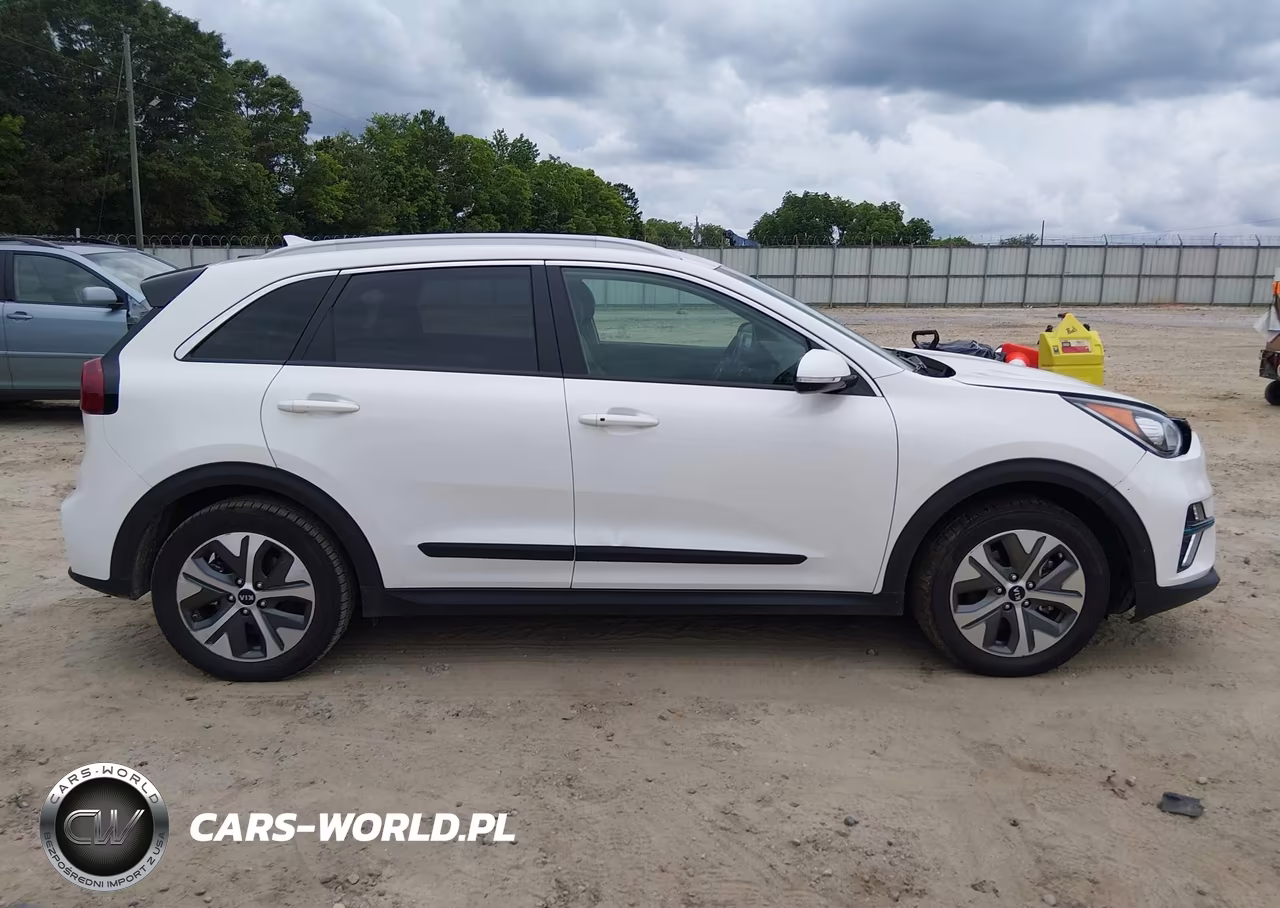 2019 Kia Niro Ev Ex Premium VIN:KNDCE3LG2K5020099 - 14