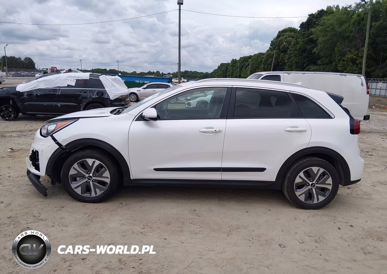 2019 Kia Niro Ev Ex Premium VIN:KNDCE3LG2K5020099 - 15