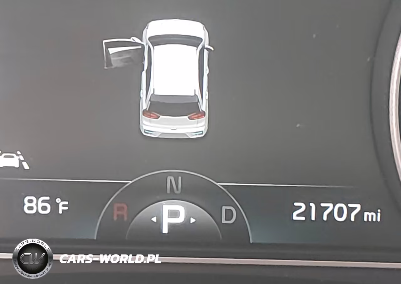 2019 Kia Niro Ev Ex Premium VIN:KNDCE3LG2K5020099 - 16