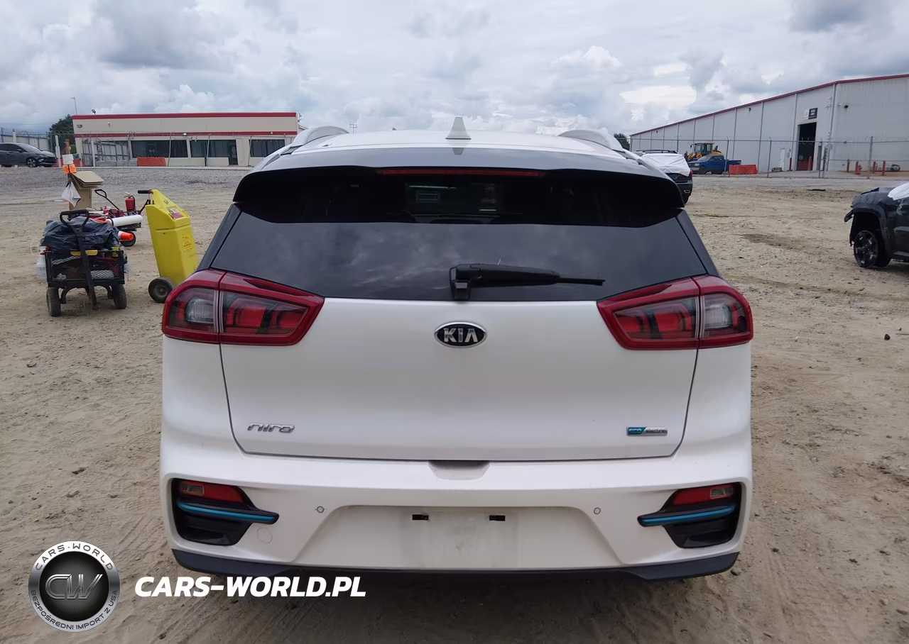 2019 Kia Niro Ev Ex Premium VIN:KNDCE3LG2K5020099 - 17