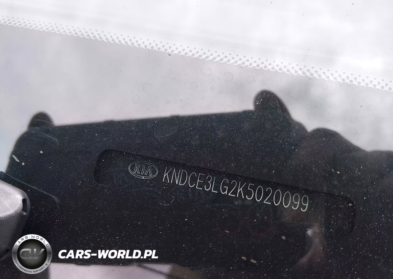 2019 Kia Niro Ev Ex Premium VIN:KNDCE3LG2K5020099 - 20