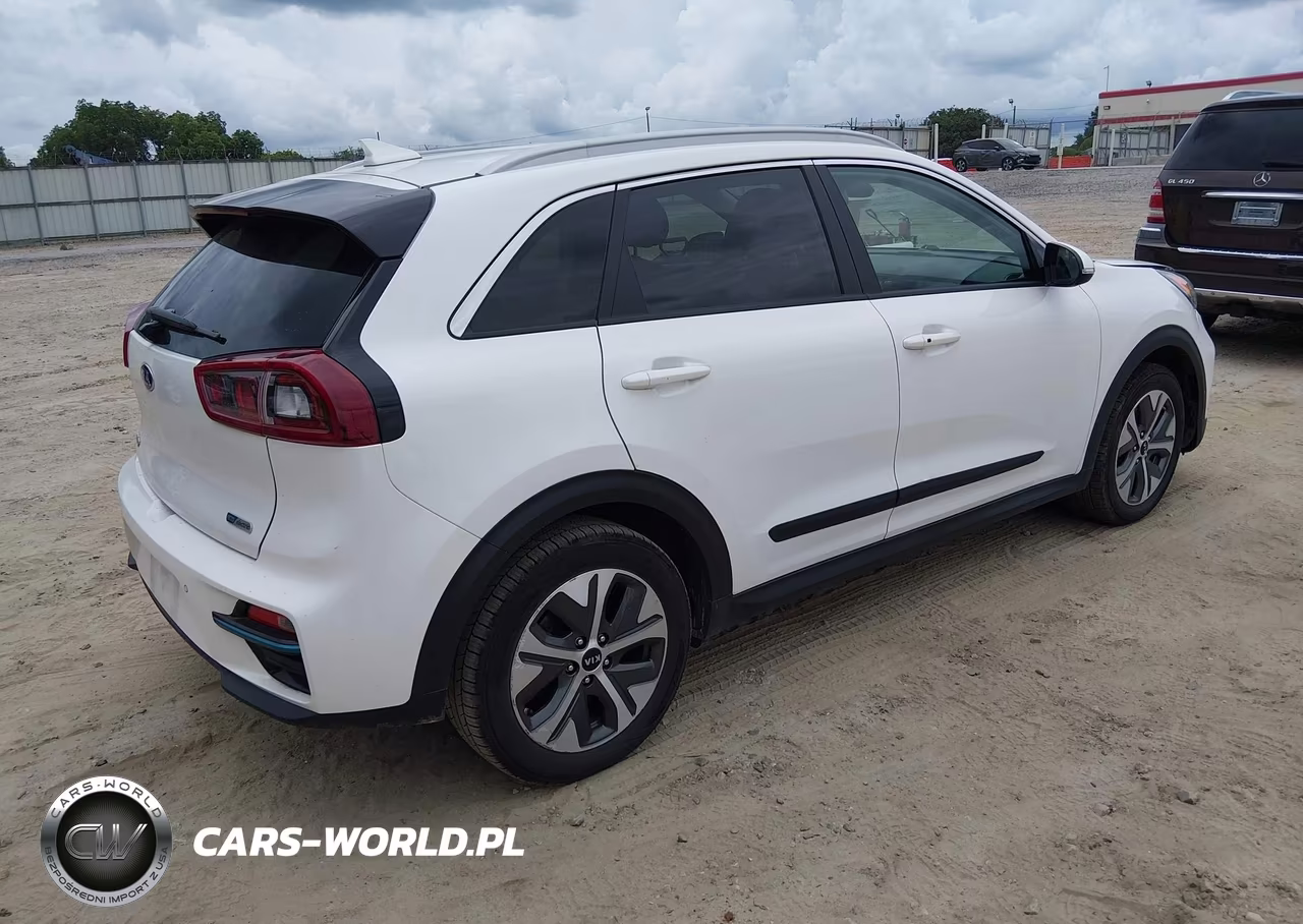 2019 Kia Niro Ev Ex Premium VIN:KNDCE3LG2K5020099 - 4