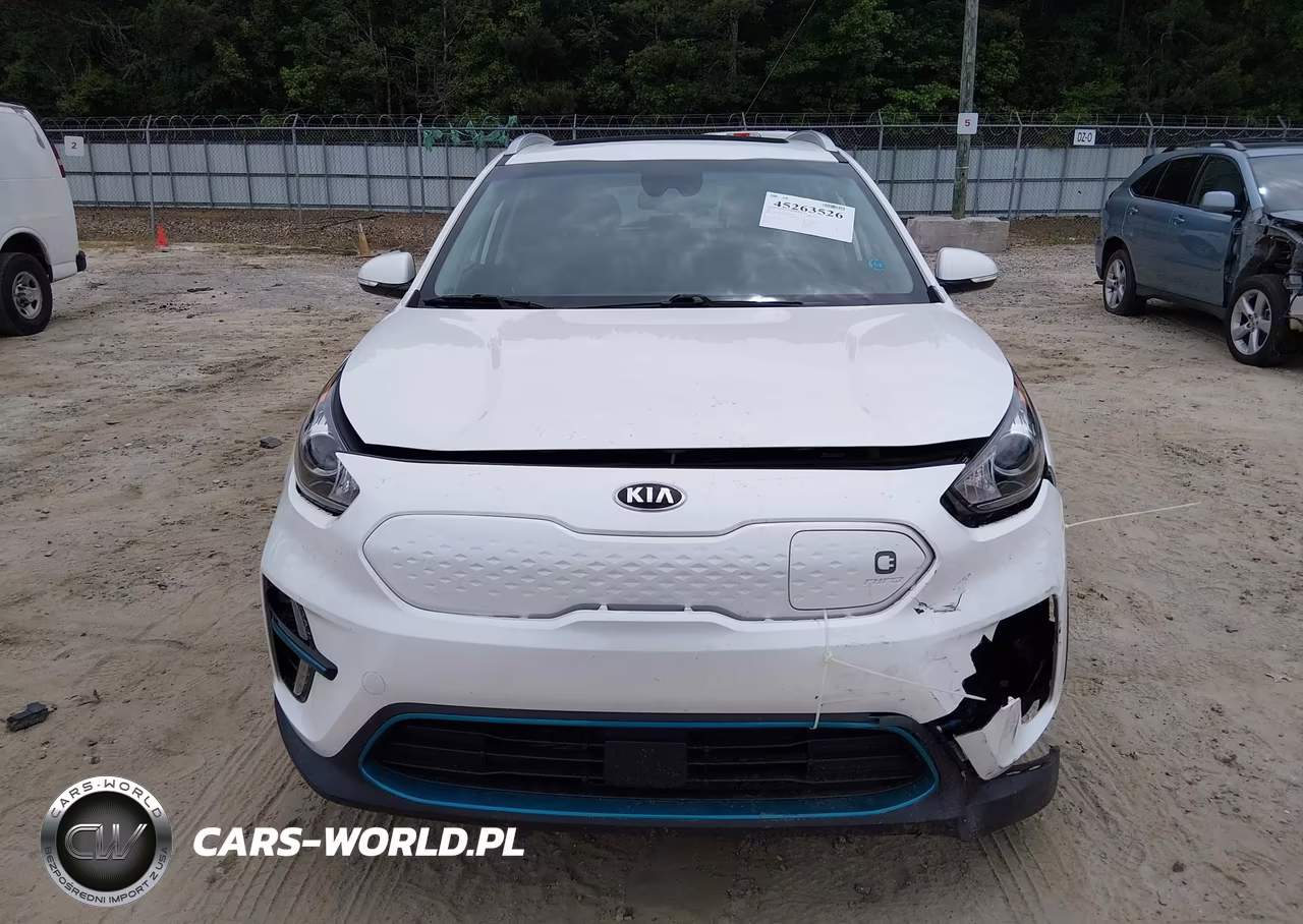 2019 Kia Niro Ev Ex Premium VIN:KNDCE3LG2K5020099 - 6