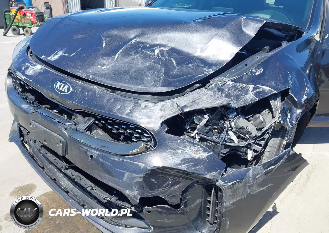 2021 Kia Stinger Gt2 VIN:KNAE55LC4M6092062 - 6