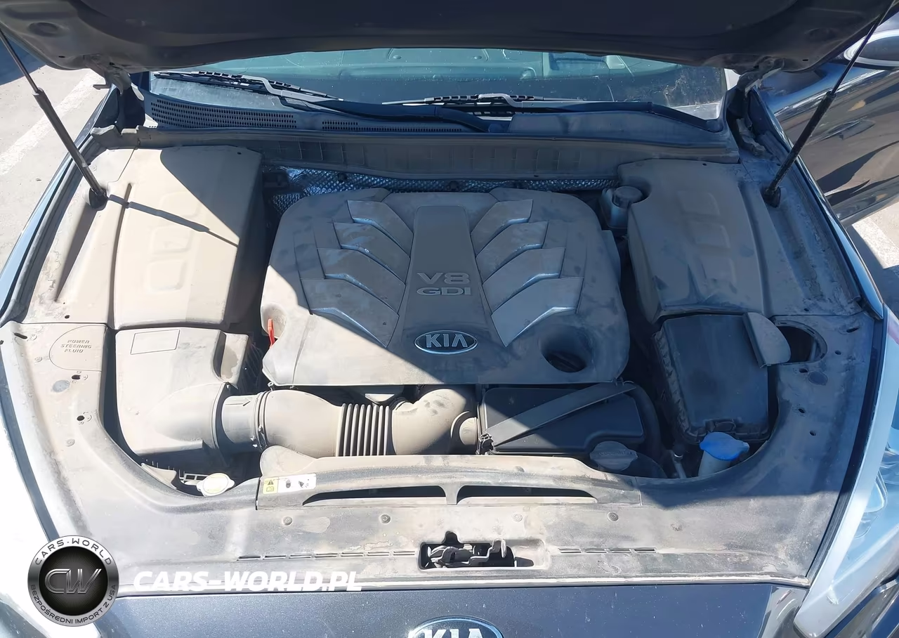 2015 Kia K900 Luxury VIN:KNALW4D47F6016800 - 10