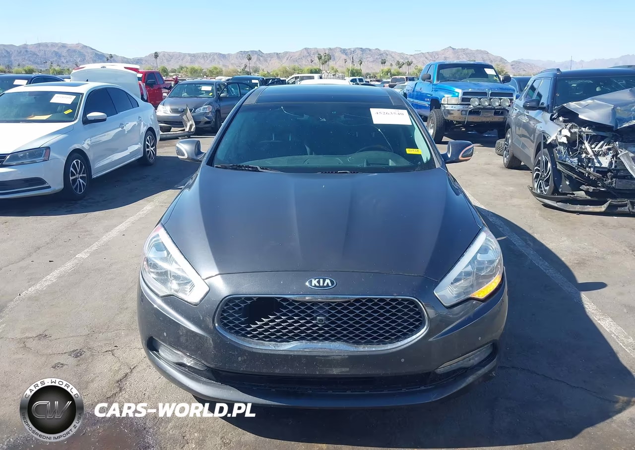 2015 Kia K900 Luxury VIN:KNALW4D47F6016800 - 12