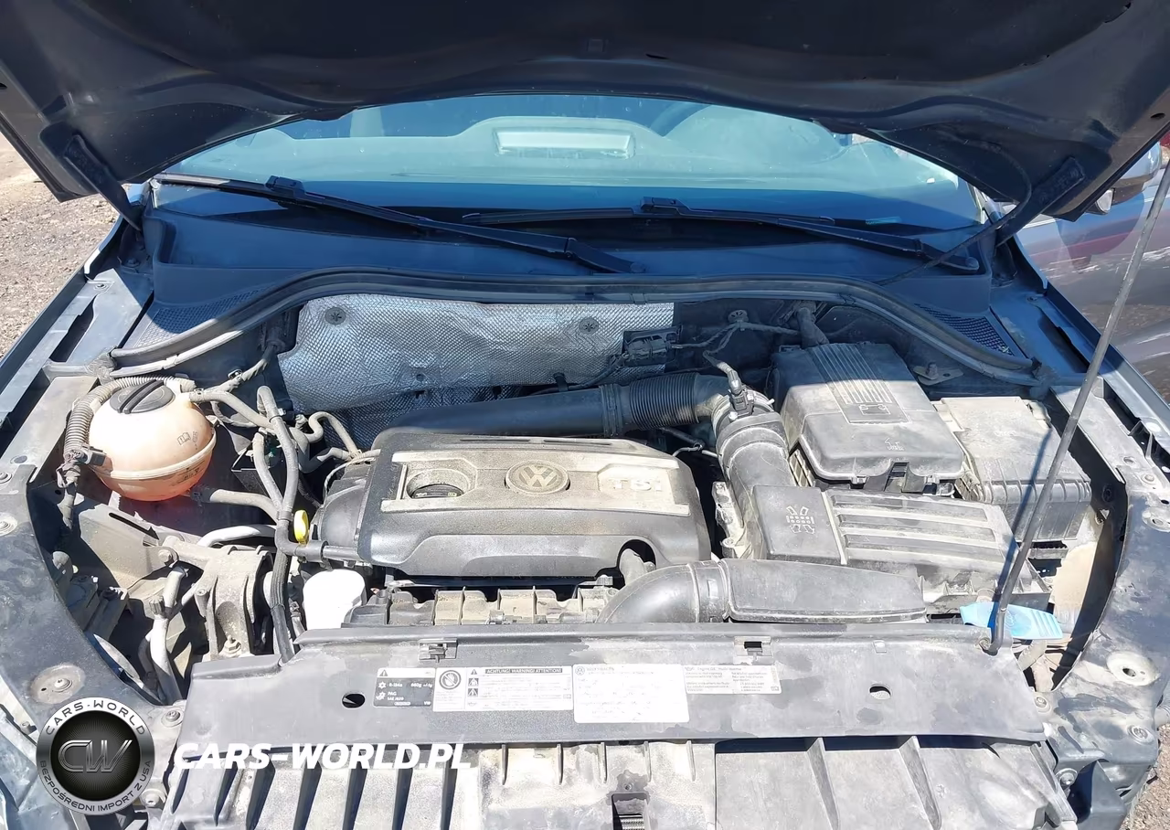 2014 Volkswagen Tiguan S VIN:WVGAV3AX2EW595288 - 10
