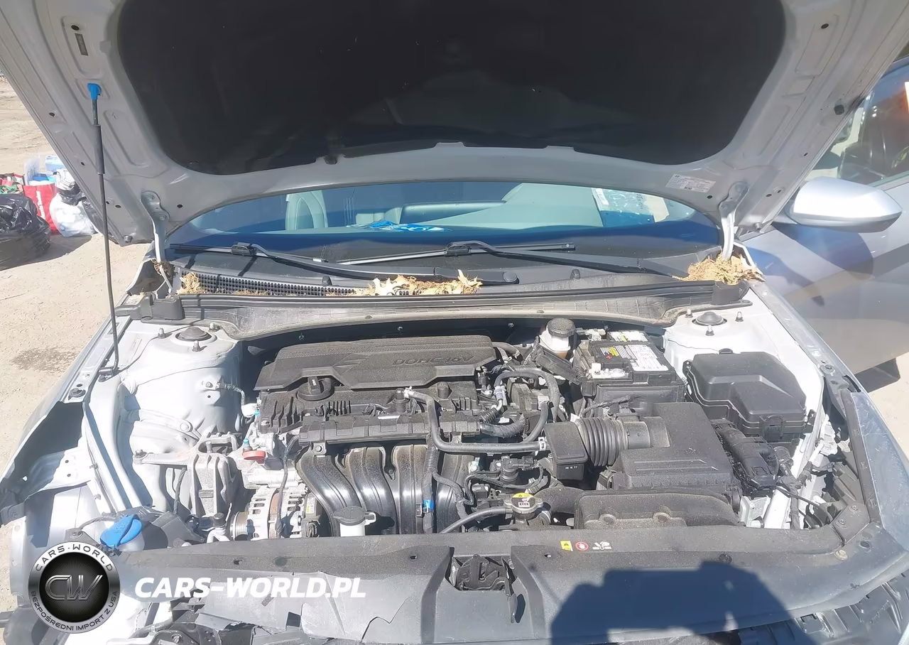 2023 Hyundai Elantra Sel VIN:5NPLM4AG9PH101832 - 10