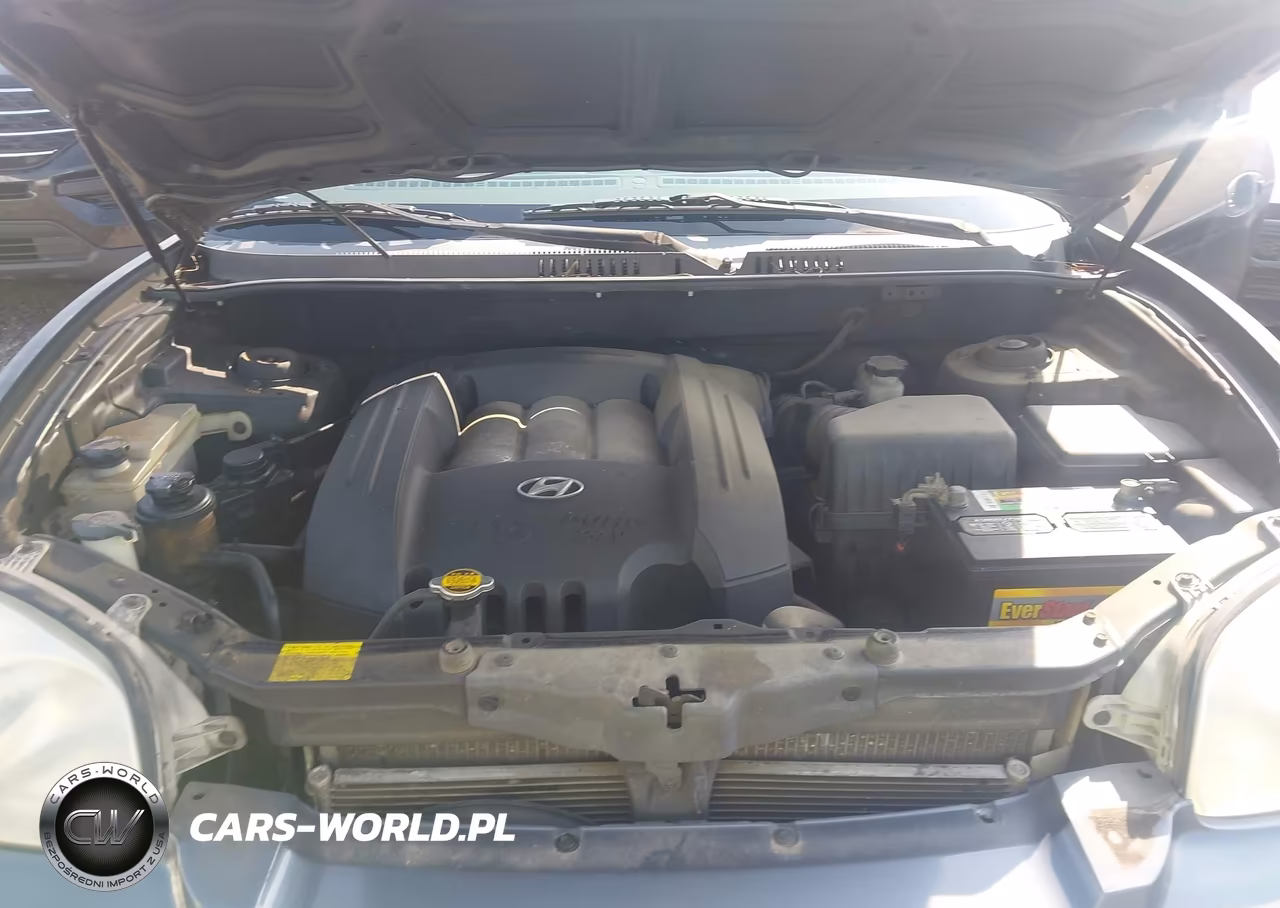 2003 Hyundai Santa Fe Gls-Lx VIN:KM8SC13D83U426807 - 10