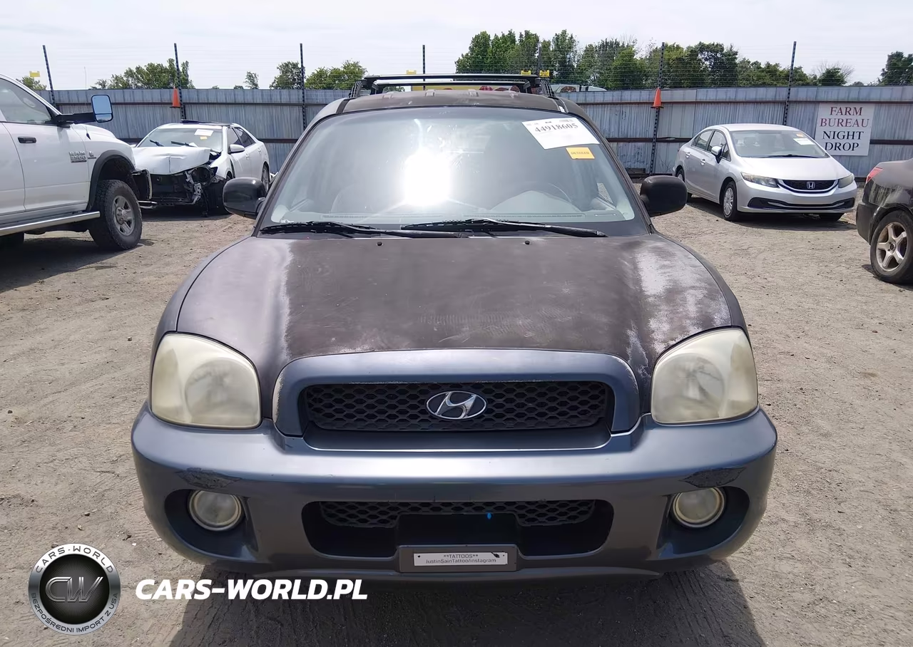 2003 Hyundai Santa Fe Gls-Lx VIN:KM8SC13D83U426807 - 12