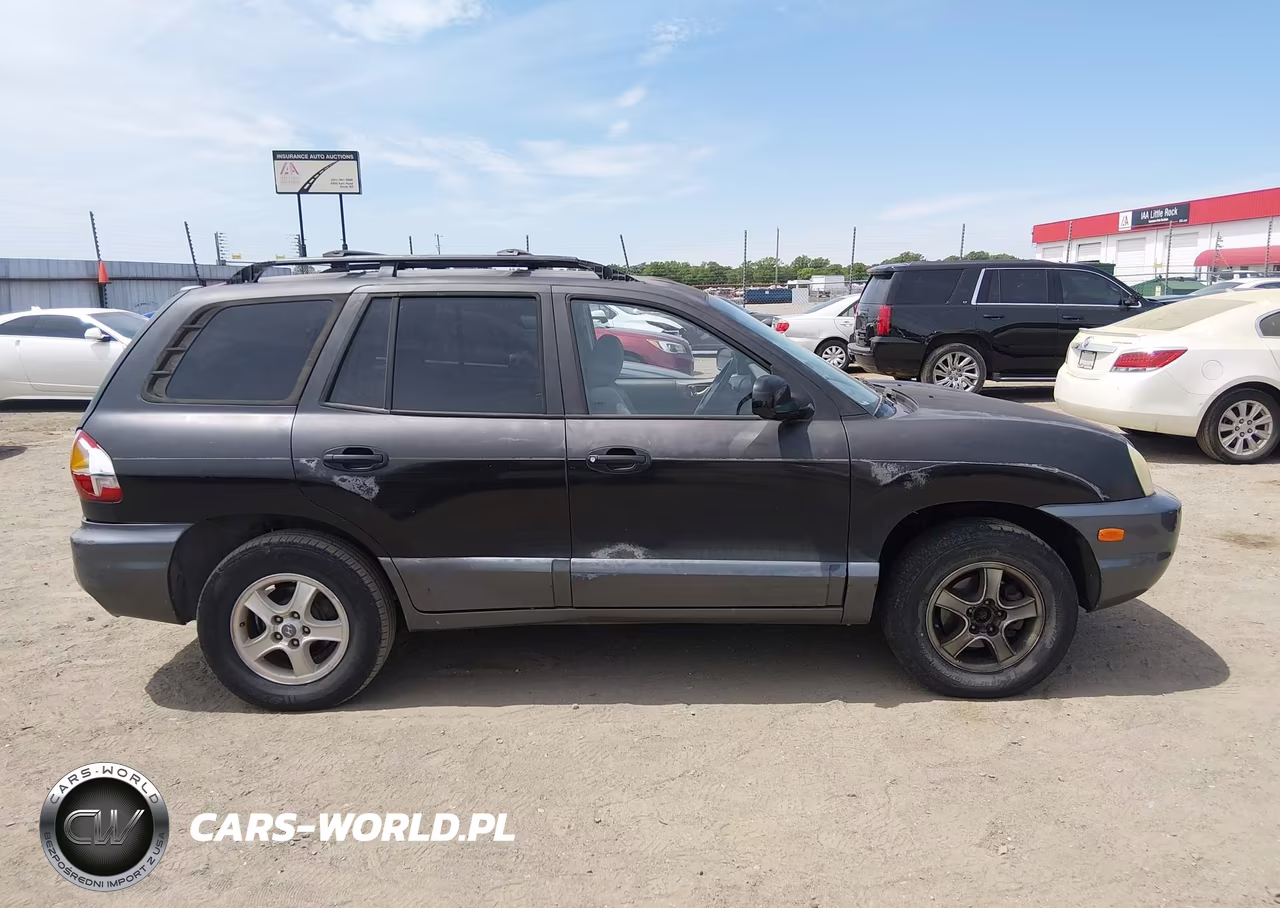 2003 Hyundai Santa Fe Gls-Lx VIN:KM8SC13D83U426807 - 13