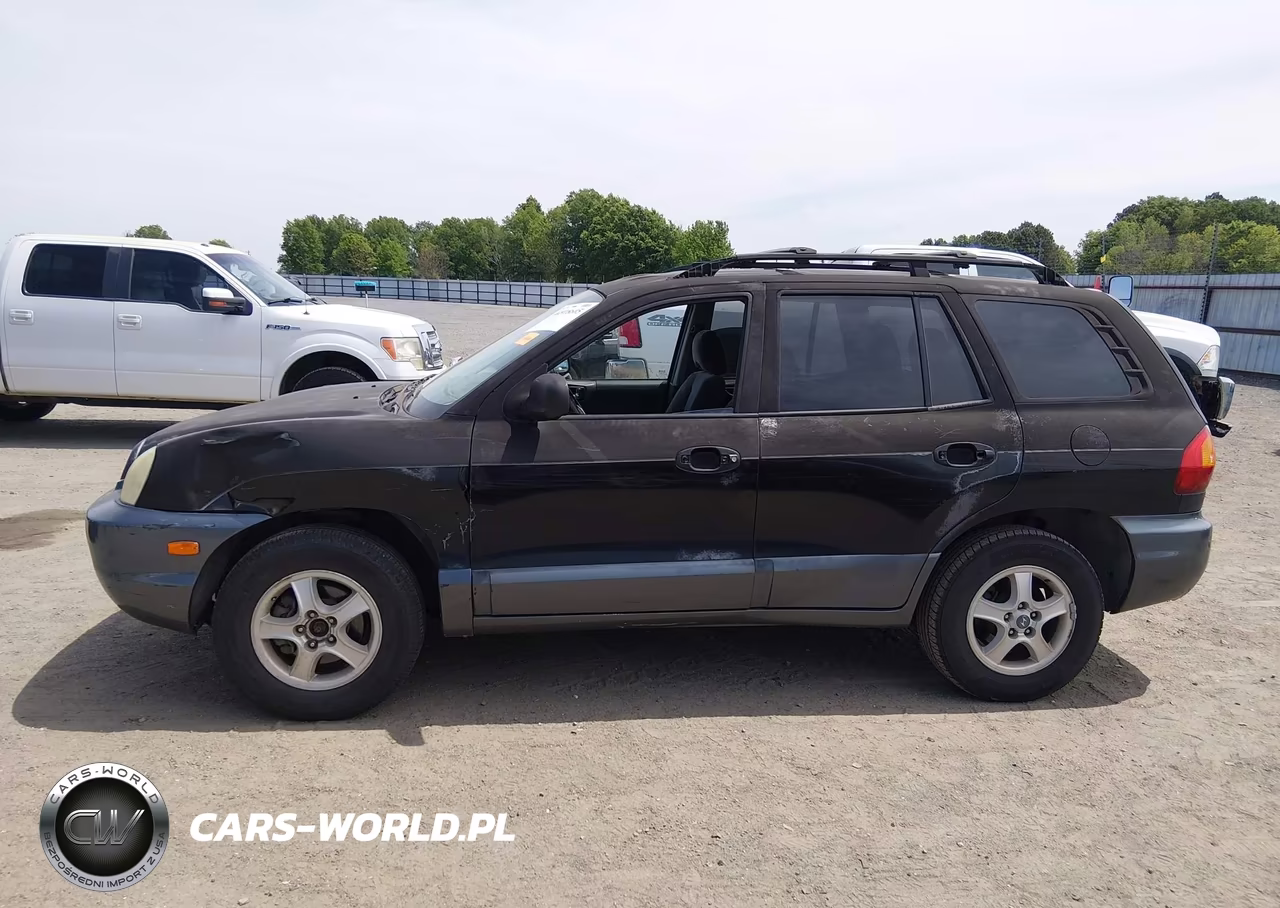 2003 Hyundai Santa Fe Gls-Lx VIN:KM8SC13D83U426807 - 14