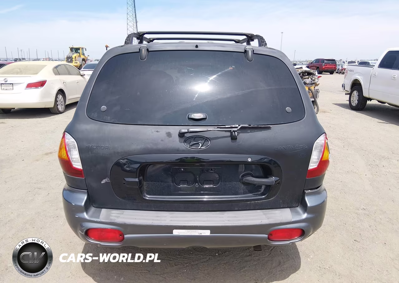 2003 Hyundai Santa Fe Gls-Lx VIN:KM8SC13D83U426807 - 16