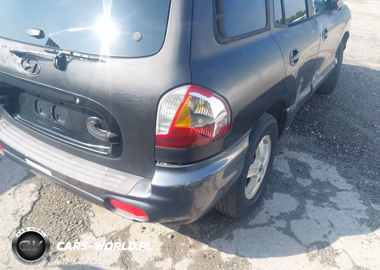 2003 Hyundai Santa Fe Gls-Lx VIN:KM8SC13D83U426807 - 17