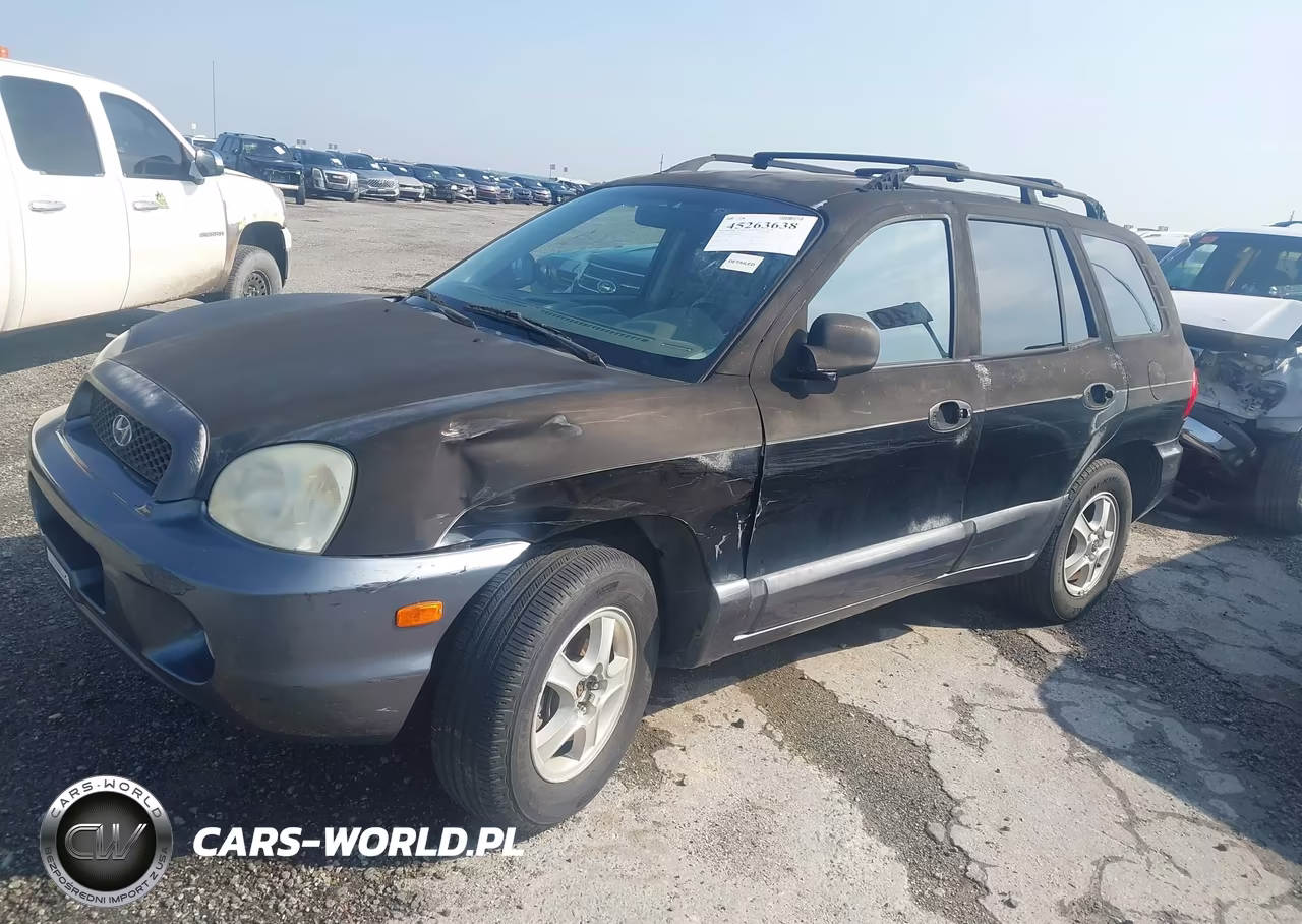 2003 Hyundai Santa Fe Gls-Lx VIN:KM8SC13D83U426807 - 2