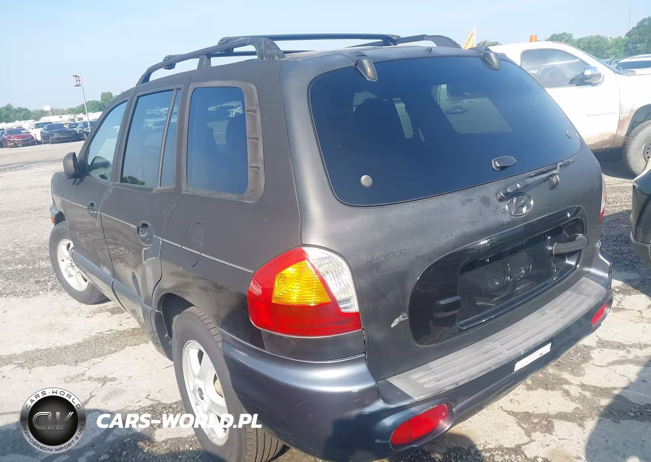 2003 Hyundai Santa Fe Gls-Lx VIN:KM8SC13D83U426807 - 3