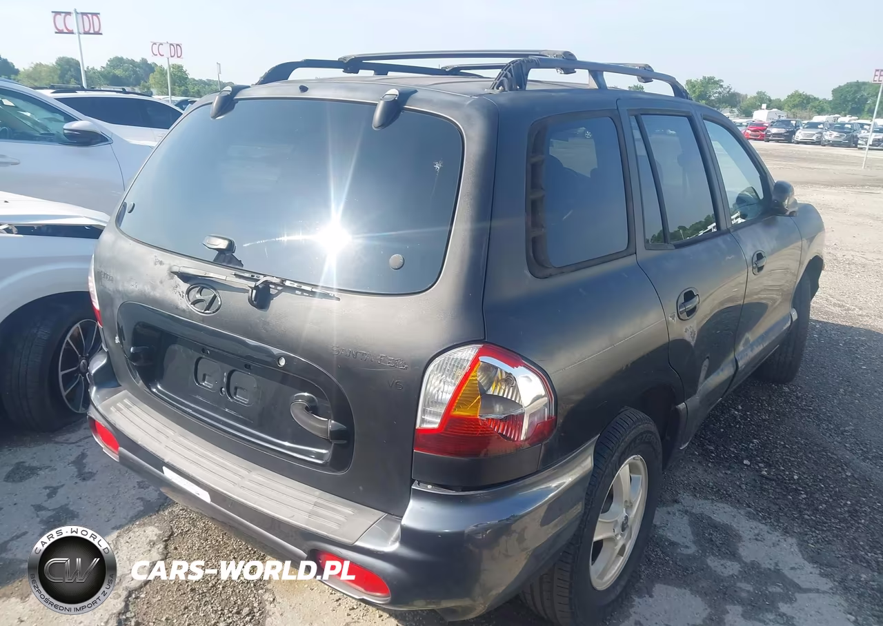 2003 Hyundai Santa Fe Gls-Lx VIN:KM8SC13D83U426807 - 4