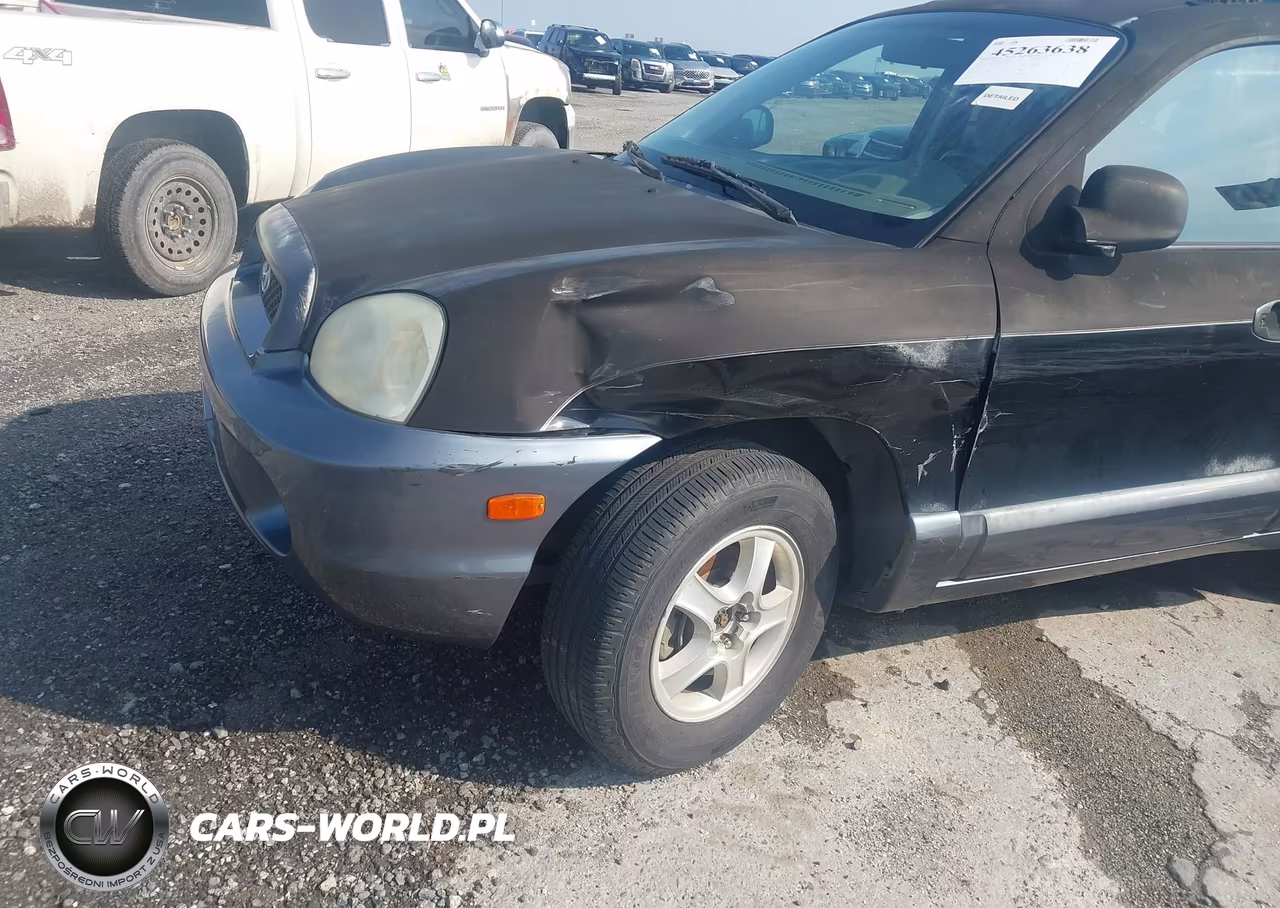2003 Hyundai Santa Fe Gls-Lx VIN:KM8SC13D83U426807 - 6
