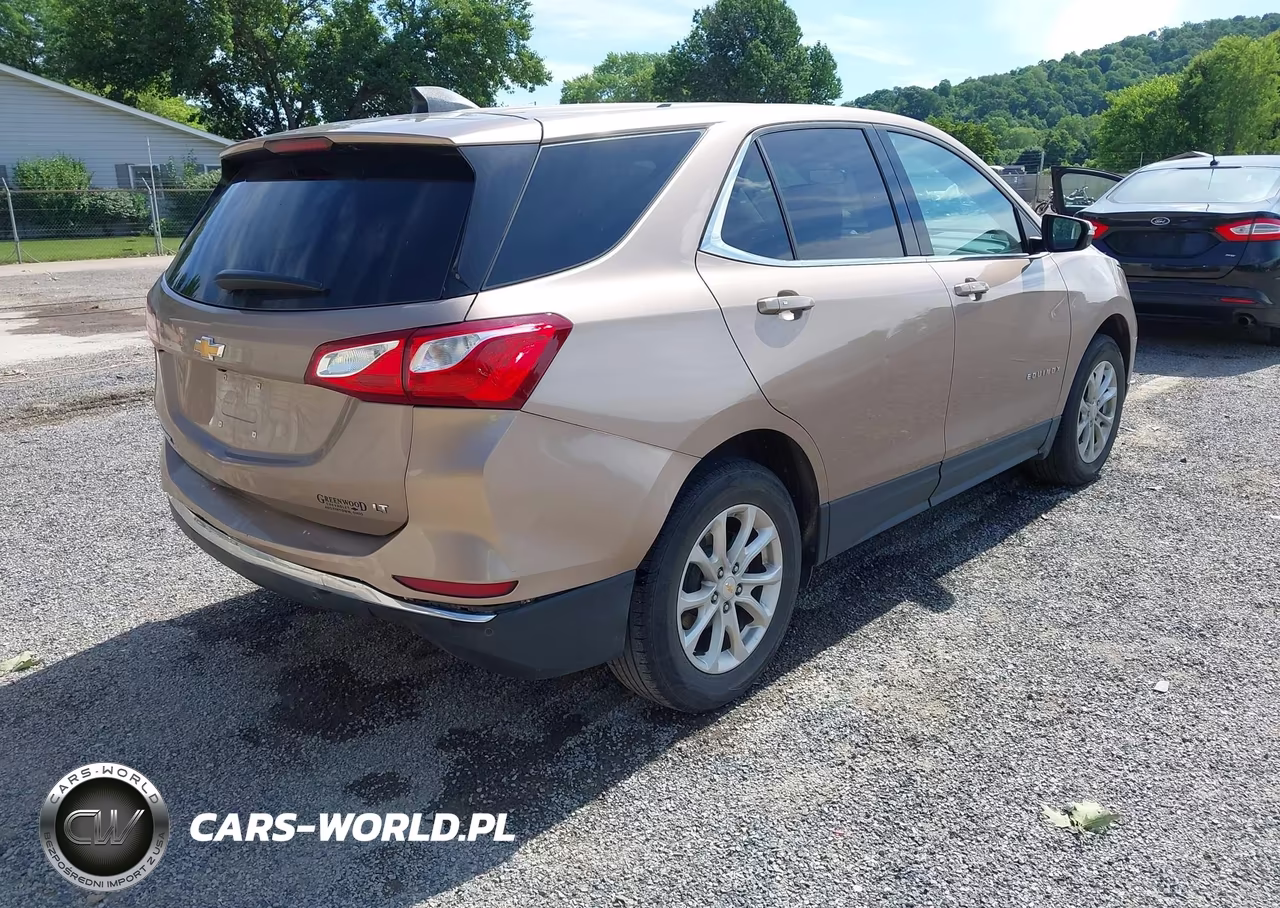 2019 Chevrolet Equinox Lt VIN:2GNAXKEV0K6203603 - 4