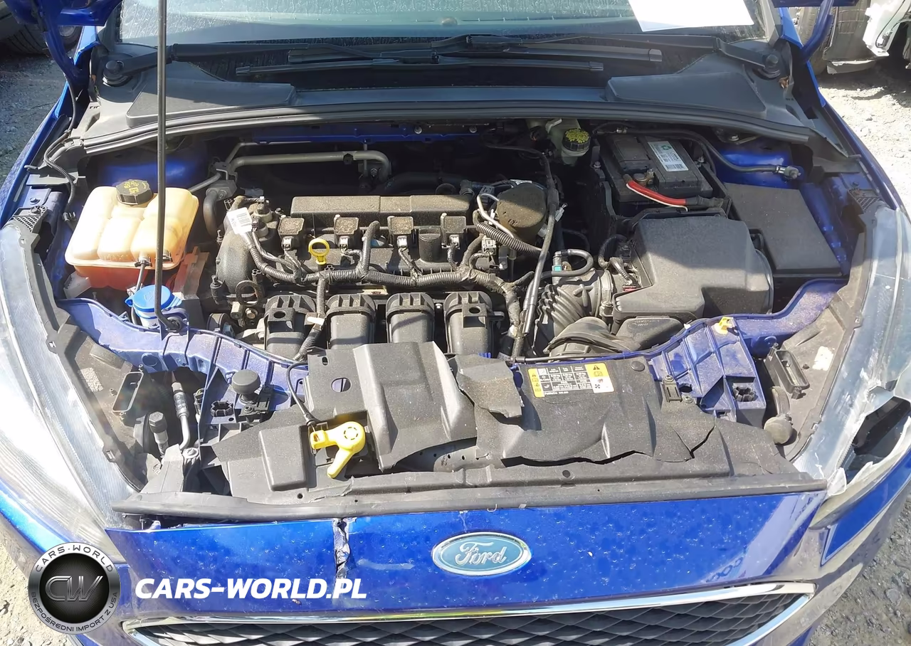 2015 Ford Focus Se VIN:1FADP3F21FL381863 - 10