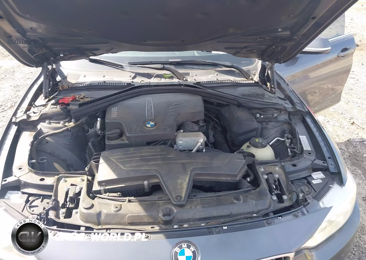 2016 BMW 428I Gran Coupe VIN:WBA4A9C55GG507419 - 10