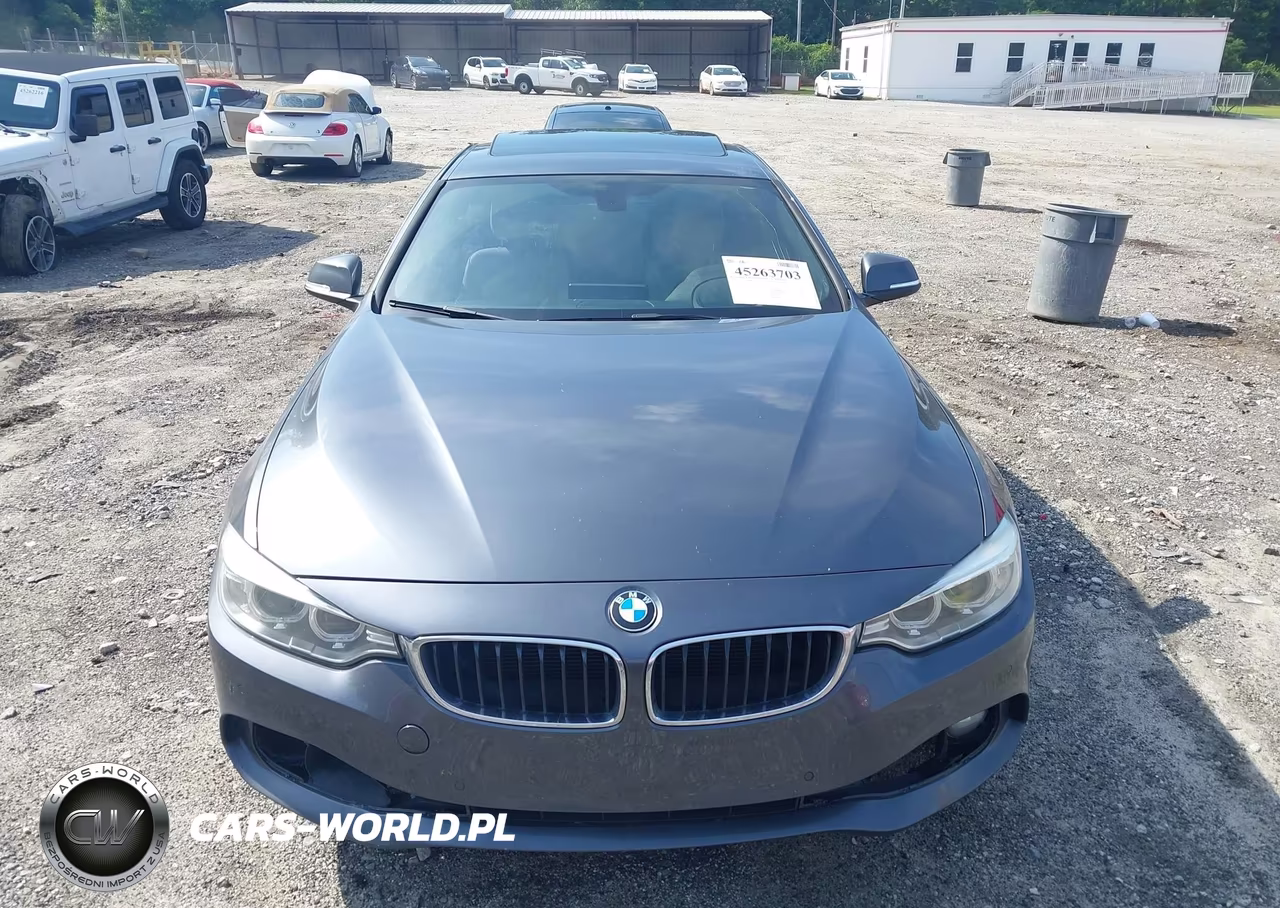 2016 BMW 428I Gran Coupe VIN:WBA4A9C55GG507419 - 12